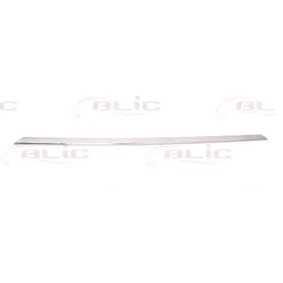 BLIC Bandeau pare-choc 5513-00-0063926P