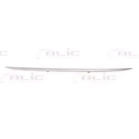 BLIC Zierleiste, Stoßstange hinten, mitte, chrom 5513-00-0063928P