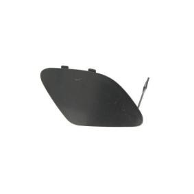 BLIC Flap, tow hook 5513-00-3509920P