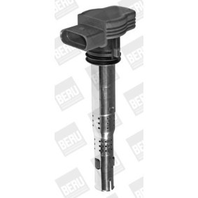 BERU Stift KS711