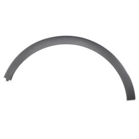 BLIC Sier- / beschermingspaneel, spatbord 5703-04-6009598P