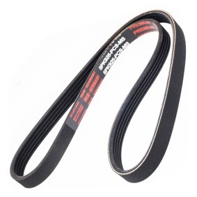 MASTER-SPORT Moniurahihna 5PK925-PCS-MS