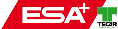 ESA Tecar Car tyres 175 65 R14