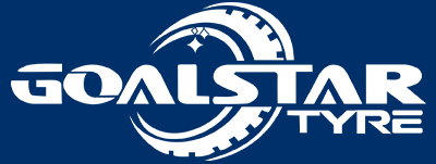 Goalstar Car tyres 165 65 R13