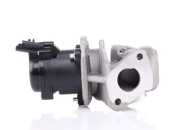Einkaufen Agr Citroën (ABAKUS AGR-Ventil 121-01-005) Erfolg versprechend