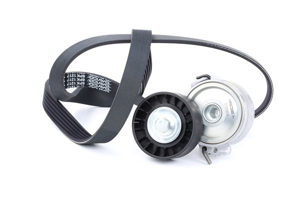 RIDEX Kileremssæt 542R0025 til FORD Focus II Stationcar (DA_, FFS, DS) årg 2011