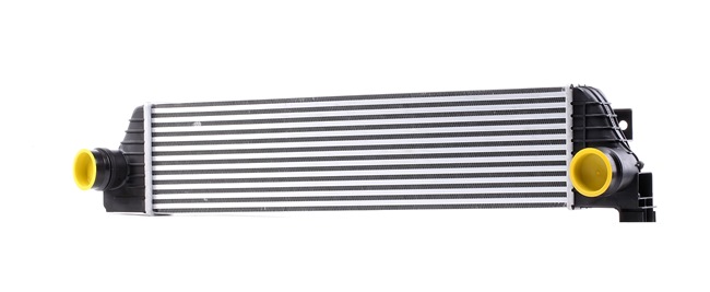 Acquisire Radiatore intercooler per MG (RIDEX Intercooler 468I0074) vantaggioso