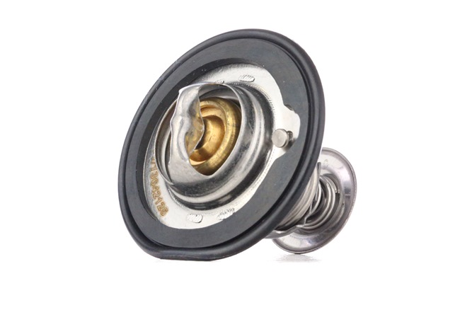 Thermostat d'eau (RIDEX 316T0149) Commander Thermostat d'eau pour Acura (RIDEX Thermostat d'eau 316T0149) bon marché
