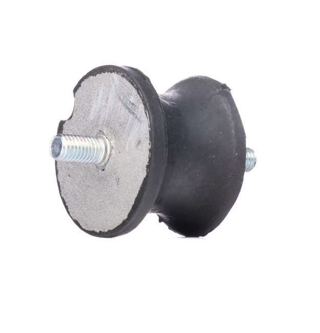 BMW 3 Berlina (E46) 325i ac 2003 192 cv M54 B25 (256S5) RIDEX Suspensión, transmisión automática 247E0084