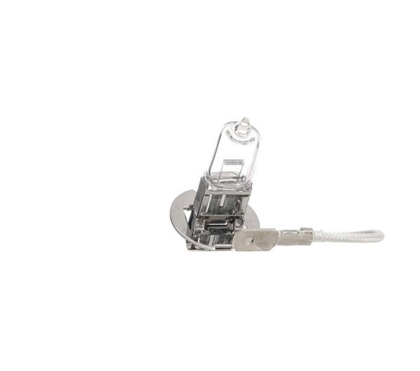 Glühlampe, Fernscheinwerfer 106B0010 (RIDEX) für BMW 02 Touring (E6) ab Bj 1975