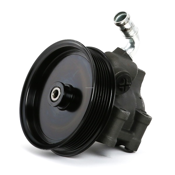 Se procurer STARK Pompe de direction assistée hydraulique, 7, 125mm SKHP-0540196 %FOR% %CAR_MAKER_NAME% à faible coût