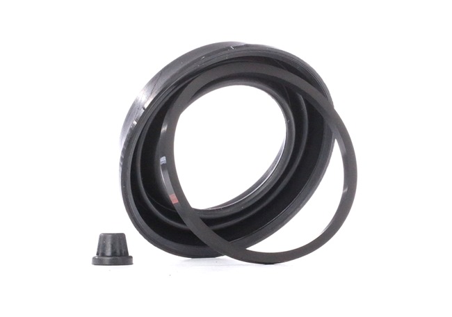 VW Polo Schrägheck (6R1, 6C1) 1.2TDI Bj 2020 75 PS CFWA RIDEX Reparatursatz, Bremssattel 405R0119