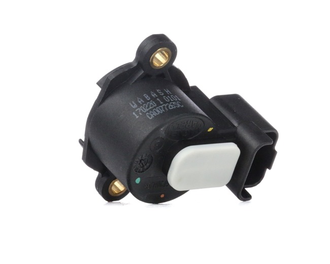 Einkaufen Drosselklappensensor Audi (MAGNETI MARELLI Sensor, Drosselklappenstellung 810007726502) Erfolg versprechend