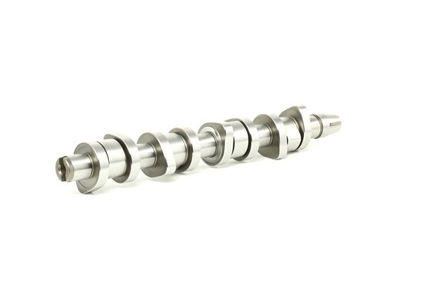 FEBI BILSTEIN 29852 Nockenwelle MINELLI TF Bj 1997