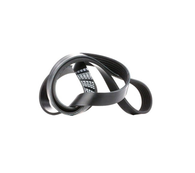 Meyle 050 006 1565 Cinghia Poly-V