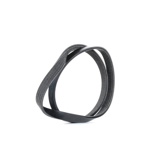 SKF VKMV 4PK800 Correa multi-V