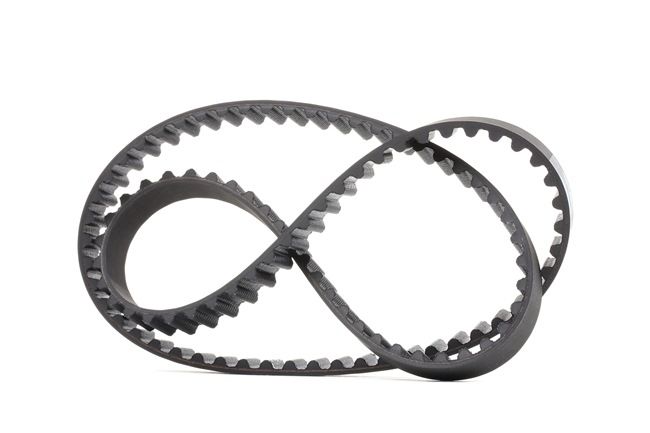 Dayco 94808 Correa dentada
