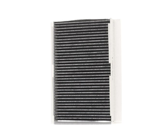 STARK Filter, zrak notranjega prostora Filter z aktivnim ogljem, Vlozek filtra, 285mm SKIF-0170019