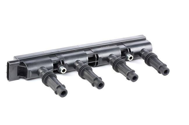 Kaufen DELPHI Zündspule GN10401-12B1 preiswert