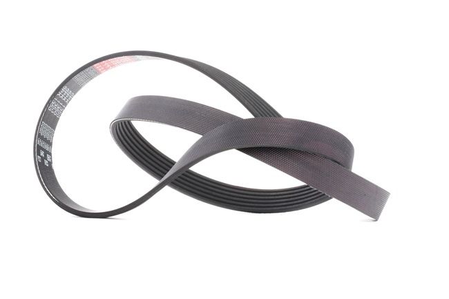 GATES Kilerem 6PK1353 Micro-V®, 1353mm til FORD Focus II Stationcar (DA_, FFS, DS) årg 2008