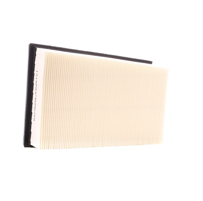 Einkaufen Motorluftfilter Nissan (RIDEX Luftfilter 8A0058) Erfolg versprechend