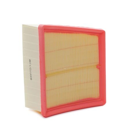 Erhverv Luftfilter til Ford (RIDEX Luftfilter 8A0250) lavpris