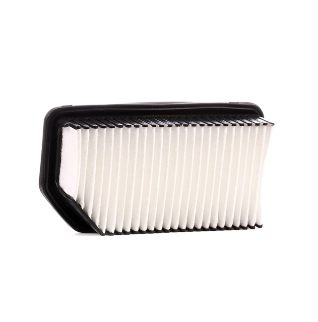 Einkaufen Motorluftfilter Hyundai (RIDEX Luftfilter 8A0191) Erfolg versprechend