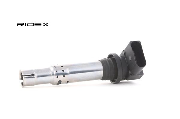 Einkaufen Zündspuleneinheit Piaggio (RIDEX Zündspule 689C0003) Erfolg versprechend
