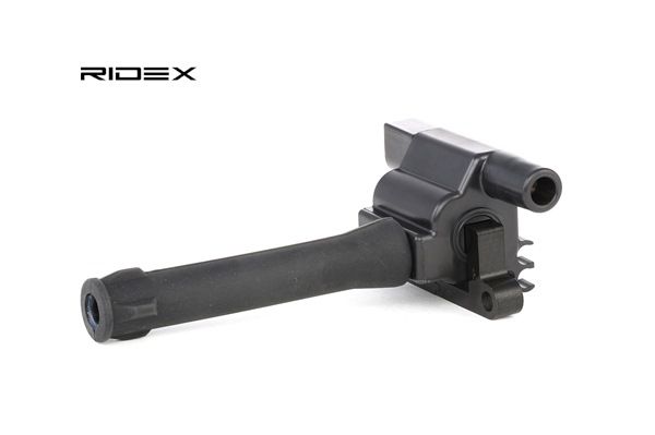 Acquisire Bobina di accensione per MG (RIDEX Bobina d'accensione 689C0060) vantaggioso