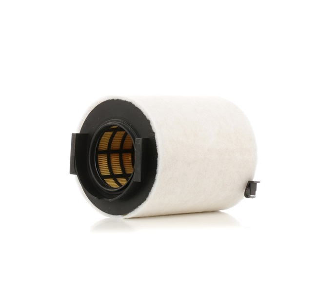 RIDEX Luchtfilter Filter insert 8A0296