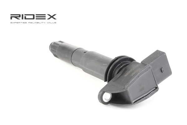 Commander Bobine pour Porsche (RIDEX Bobine d'allumage 689C0224) bon marché