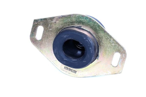 RIDEX 247E0044 Support moteur arrière gauche, Essieu avant, Support métal-caoutchouc PEUGEOT 206 ac 1998