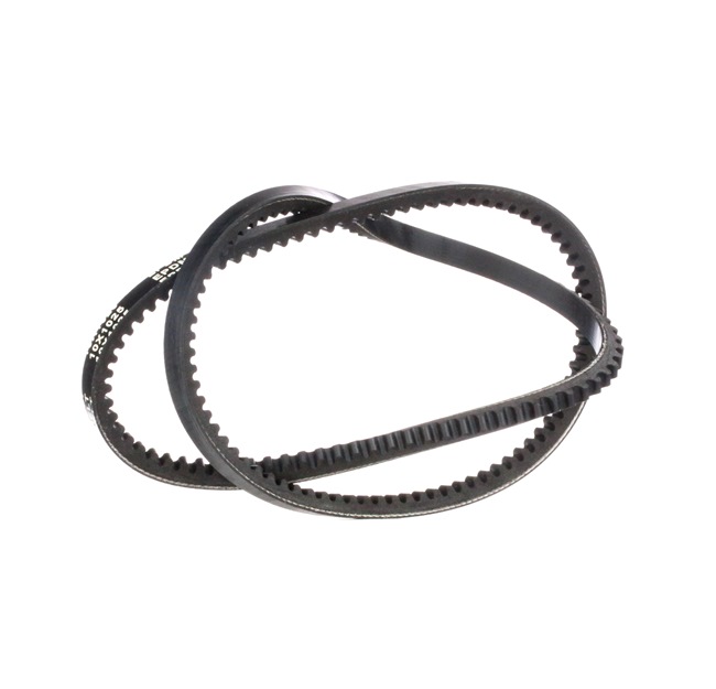 4818162 OE RIDEX Keilriemen 10C0022