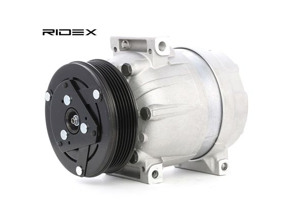 Einkaufen Kompressor Klimaanlage Renault (RIDEX Klimakompressor 447K0099) Erfolg versprechend