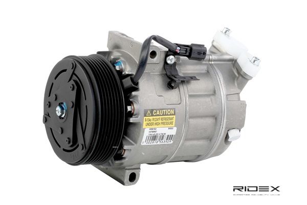 Einkaufen Kompressor Klimaanlage Renault (RIDEX Klimakompressor 447K0067) Erfolg versprechend