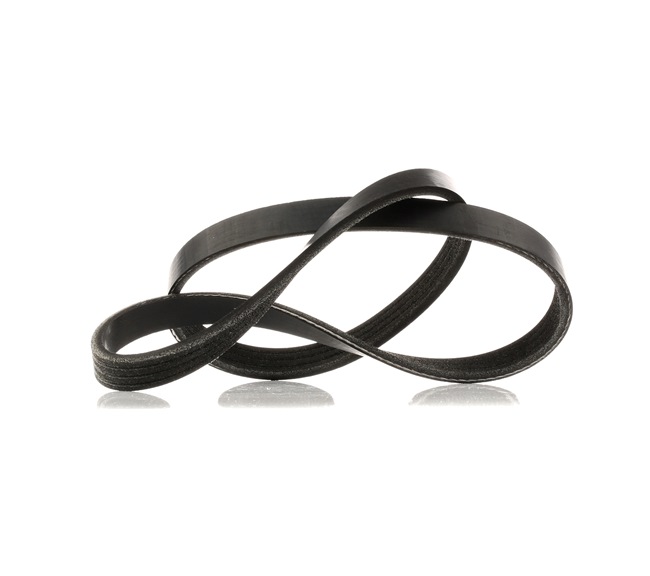 RIDEX V-Ribbed Belts 305P0014