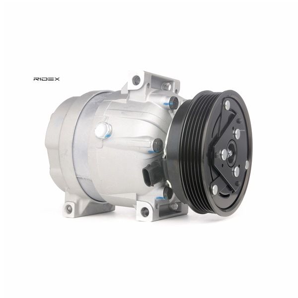 Einkaufen Kompressor Klimaanlage Renault (RIDEX Klimakompressor 447K0181) Erfolg versprechend