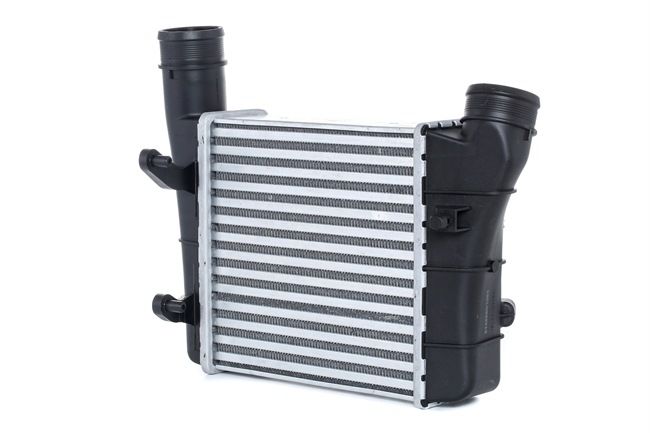 Acquistare RIDEX Intercooler 220x217x62, Alluminio, Plastica 468I0015 sottocosto