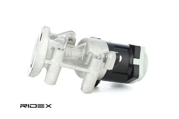 Einkaufen Agr Citroën (RIDEX AGR-Ventil 1145E0011) Erfolg versprechend